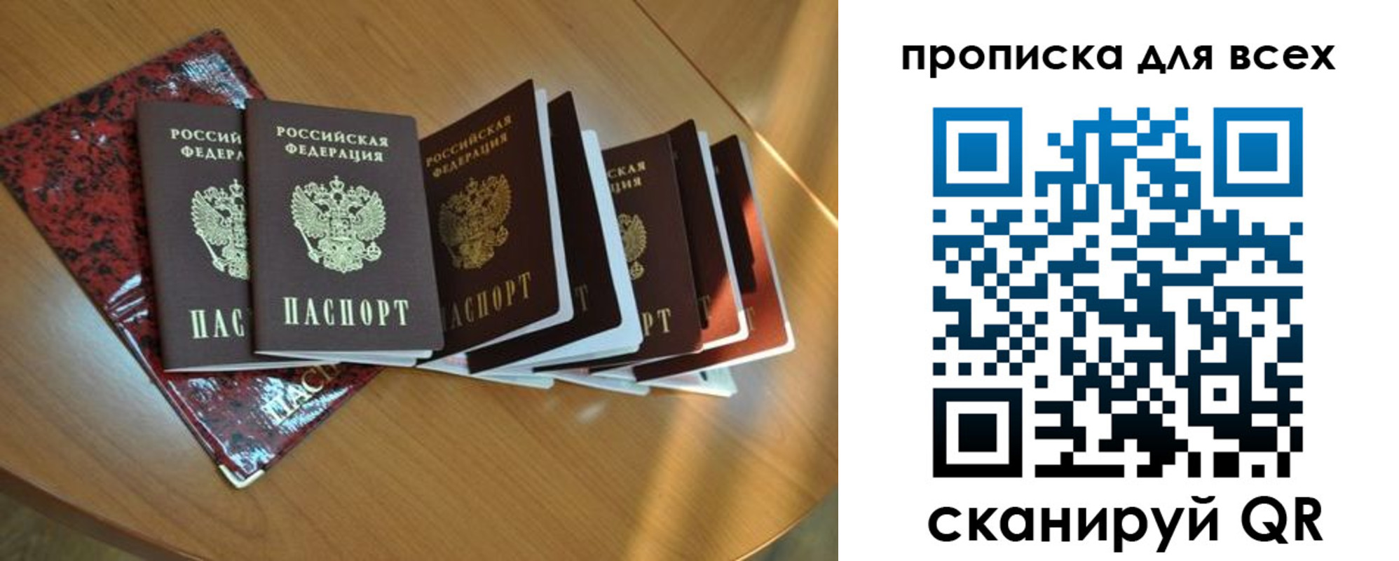 прописка для школы в Тимашёвске